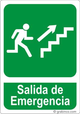 ir a la tienda