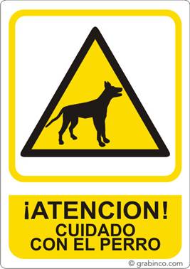 ir a la tienda