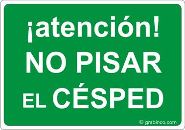 ir a la tienda