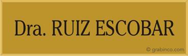 PLACA PARA PROFESIONALES Y EMPRESAS PR410 Grabinco.com
