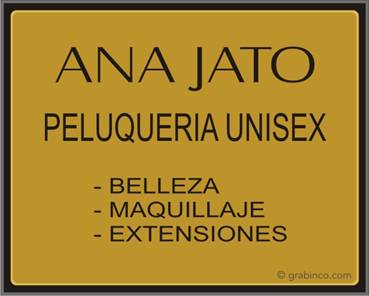 PLACA PARA PROFESIONALES Y EMPRESAS PR427 Grabinco.com